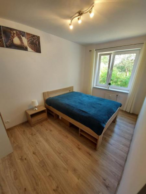 Apartament Na Wydmie z widokiem na las